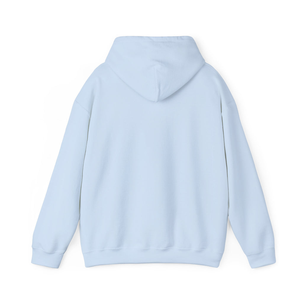 The Sky is Blue Hoodie